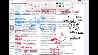 Bruton agammaglobulinemia immunology 50  First Aid USMLE Step 1 in UrduHindi [upl. by Sackman]