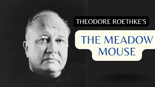 Summary of Theodore Roethkes poem quotThe Meadow Mousequot [upl. by Saucy]