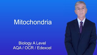 A Level Biology Revision quotMitochondriaquot [upl. by Meggie]