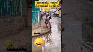 හොරෙක් ට වුනත් විපතක්නේ වුනේ 🤣🤣viralvideo youtubeshorts comedy shorts [upl. by Resneps]