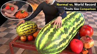 Unbelievable Fruit Size Comparison Normal vs World Record [upl. by Siol937]