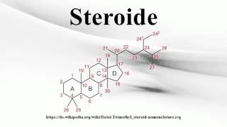 Steroide [upl. by Argela987]