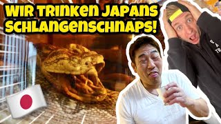 Japanischer Schwiegervater und ich probieren JAPANS Schlangenschnaps [upl. by Enneicul]