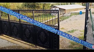 HOBİ BAHÇEMİZDEN ON ALTINCI BÖLÜM  HAYVANLARIMIZ  KAZLARIMIZ [upl. by Ailadgim276]