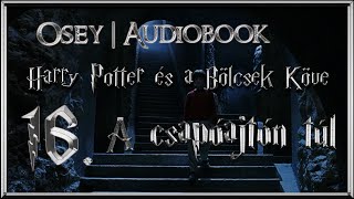 Harry Potter és a Bölcsek Köve hangoskönyv  16 fejezet [upl. by Powers]