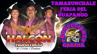 Trio Halcón Huasteco de Marte Santana En La Feria del Huapango Tamazunchale SLP [upl. by Magdau]