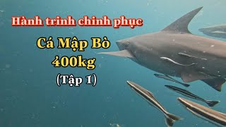 Hành Trình Tìm Cá Mập Bò 400kg  tập 1 [upl. by Ssyla]