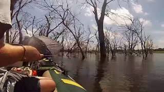 Crappie Fishing Lake Wannahoo Nebraska [upl. by Apul]