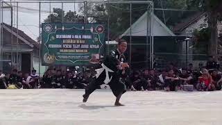 Pencak Silat GR 1935 Cabang Bojonegoro yg diperagakan oleh Kang Mashari dari JalakSumberjoBJN [upl. by Hartmann]