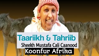 Taariikh amp Tahriib  Sh Mustafa Caanood  Koonfur Afrika [upl. by Decato]