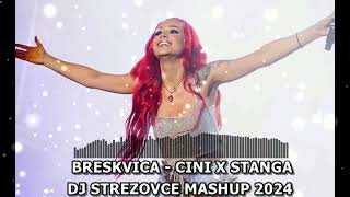 BRESKVICA  CINI X STANGA DJ STREZOVCE MASHUP 2024 [upl. by Filemon]