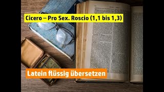 Latein flüssig übersetzen  Cicero Pro Sexto Roscio 11 bis 13 [upl. by Fidela]