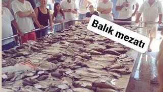 Çeşme ılıca Balik mezatı ve pazar [upl. by Japheth]