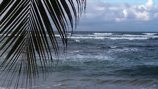 Harry Belafonte  Island In The Sun HD [upl. by Johannessen]