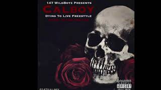 Calboy  Dying To Live FreeStyle Prod By RayBandz [upl. by Eirol709]