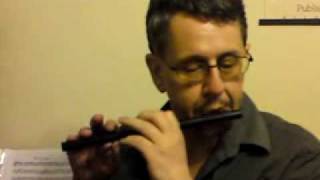 Simple Piccolo demo Trumpet Hornpipe etc [upl. by Presber]