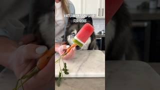 The Perfect Watermelon Dog Treat [upl. by Notsrik170]