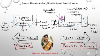 Reverse Osmosis Method By Dr Anjali Ssaxena [upl. by Iarahs]