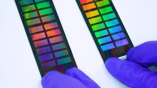 DNA Testing and Privacy Behind the scenes at the 23andMe Lab  Smarter Every Day 176 [upl. by Drofnas]