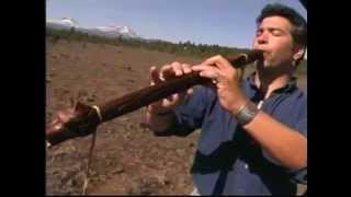 Play the Trees An Introduction to the Native American Style Flute by Ward Jene Stroud [upl. by Haduhey]