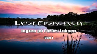 Laksefiskeri  Jagten på forårs Laksen  Dag 1 [upl. by Gillan735]