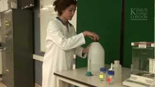 Making Stock Solution for use in Pharmacology practicals [upl. by Adel]