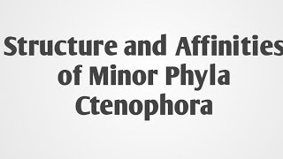 Structure And Affinities Of Phylum Ctenophora [upl. by Ilera684]