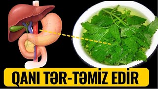 Bədəni İLTİHABDAN 1 Həftəyə Təmizləyir [upl. by Arria]