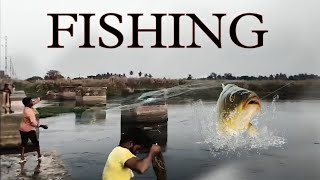 fishing in kolleru Lake 🐠  middle class power [upl. by Sallie356]