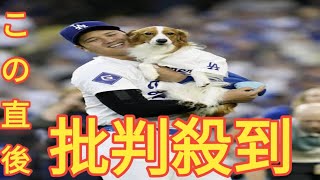 デコピンもいる♥」大谷翔平の代理人事務所が祝福ビジュアル 隅っこにボールをくわえたデコピンが！ファン歓喜 [upl. by Ahtnams]