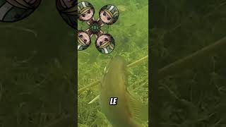 Le Poisson Mord lAppât en Direct  😱🐟 Pêche MomentInoubliable [upl. by Dix]