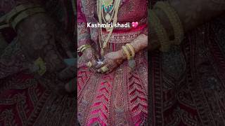 Kashmiri shadi kashmirisongs kashmiriculture kashmirishadi shortsfeed wedding weddingdress yt [upl. by Howard]