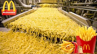 How Are McDonalds French Fries Made  Food Factory [upl. by Mannes978]