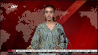 DW International አማርኛ ዜና ሰዓት 0130፣ 17 ህዳር 2016 ዓም\watch Live Streaming [upl. by Lettig647]