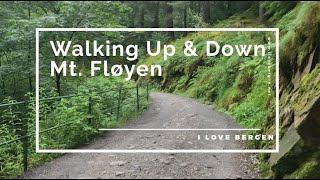 Walking up and down Mount Fløyen in Bergen Norway Know Before You Go [upl. by Kynan613]