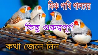 ফিঞ্চ পাখি পালনের কিছু গুরুত্বপূর্ণ কথা জেনে নিন bazrigar pakhi [upl. by Noryak]