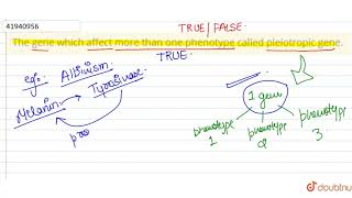 The gene which affect more than one phenotype called pleiotropic gene [upl. by Schroeder]