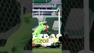 DEFESA INCRÍVEL DE WEVERTON [upl. by Lrak640]