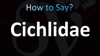 How to Pronounce Cichlidae CORRECTLY [upl. by Guinevere]