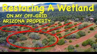 Restoring A Wetland On My AZ Property  RESULTS ON DAY 1 Permaculture In The High Desert [upl. by Nivag]