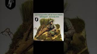 shortsvideo ww2 135 history [upl. by Ailekat]