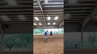 Rodeo in 6 days silverthehorse horse equestrian equineenthusiasts equines horseenthusiast [upl. by Seen279]