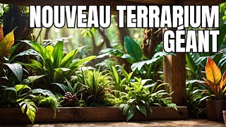 NOUVEAU TERRARIUM GÉANT POUR LÉZARD ARBORICOLE Pt2 [upl. by Atelahs]