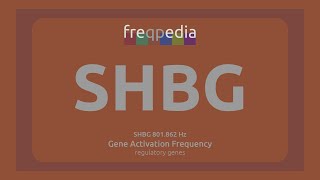 SHBG sex hormone levels Gene Activation Frequency [upl. by Orban]