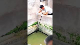 Catching Crocodile 🐊 crocodilian fishing fishingtips [upl. by Young301]