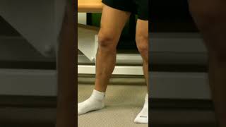 🦵Isométricos de rodilla en 4 direcciones ➕ [upl. by Amby]