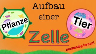 Aufbau einer Zelle  Bestandteile von Tierzellen und Planzenzellen  Funktionen lernen [upl. by Alyahsat]