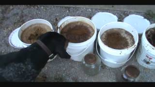 Completion of making Fish Oil Part 2 [upl. by Nickola]