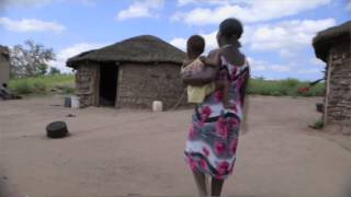 Maternal health report urges improved education and healthcare services for women [upl. by Dwane]