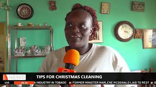 TIPS FOR CHRISTMAS CLEANING [upl. by Quenna]